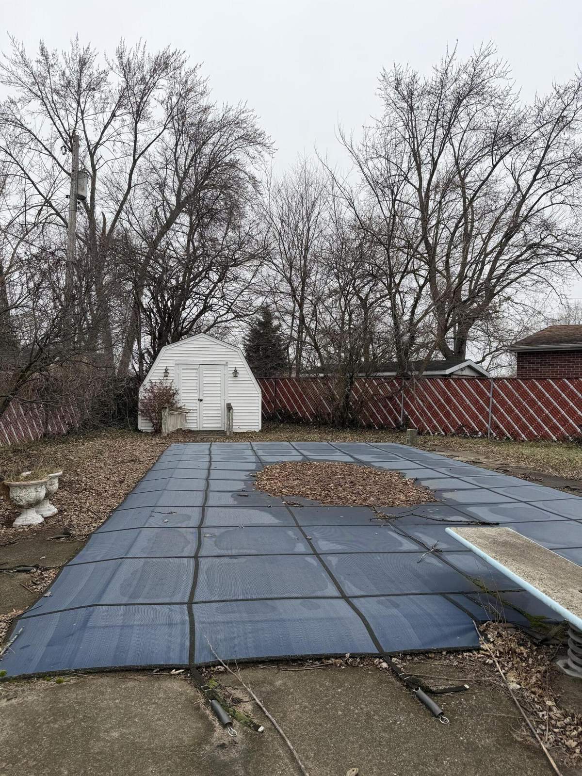 Before: Griffith backyard with covered pool and shed